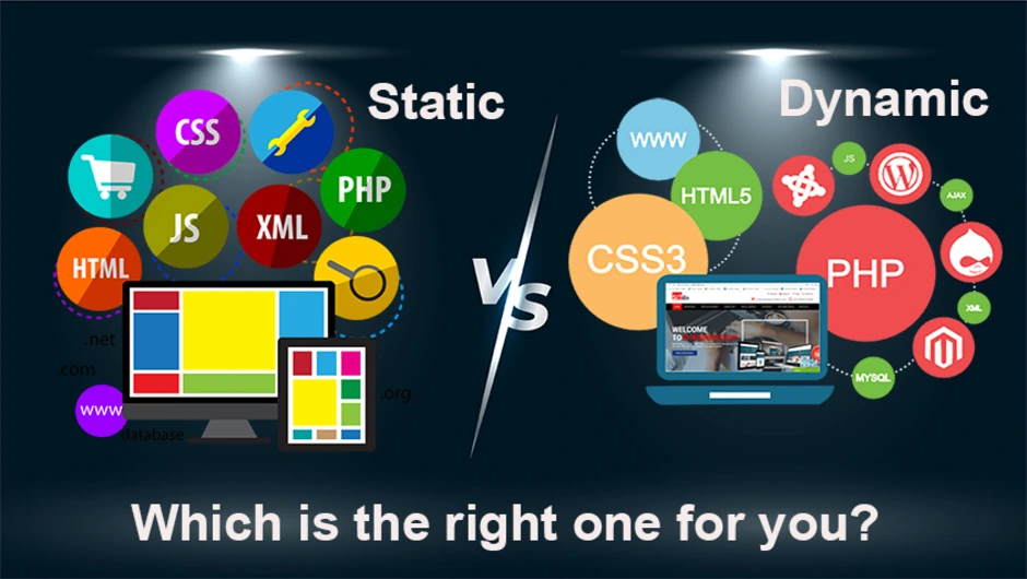 Static & Dynamic Website